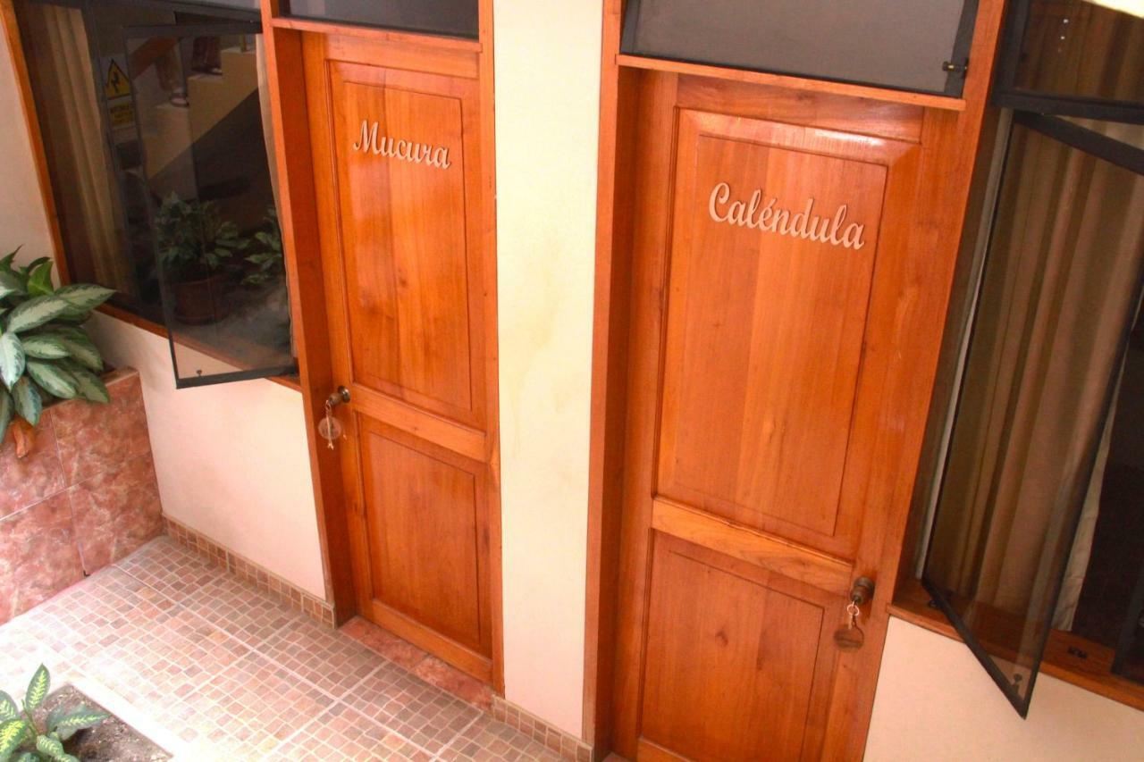 Zygo Bed & Breakfast Tarapoto Exterior photo